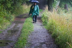 IMG_0930
