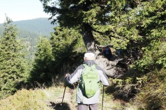 P_218