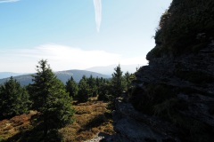 P_259