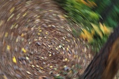 PA0029