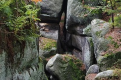 PA0050