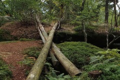 PA0051
