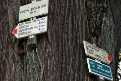 PA0053