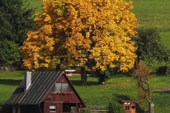 PA0246